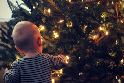 男孩穿着灰色衬衫站在圣诞树
